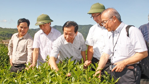 Les entreprises japonaises rencontrent les grands producteurs à Nghê An ảnh 1 Les entreprises japonaises rencontrent les grands producteurs à Nghê An ảnh 1