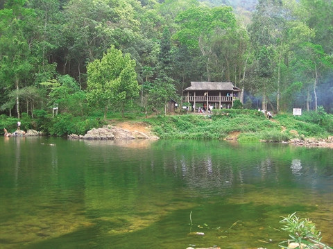Dans le Nord, cure de nature en forêt de Bac Giang ảnh 1 Dans le Nord, cure de nature en forêt de Bac Giang ảnh 1
