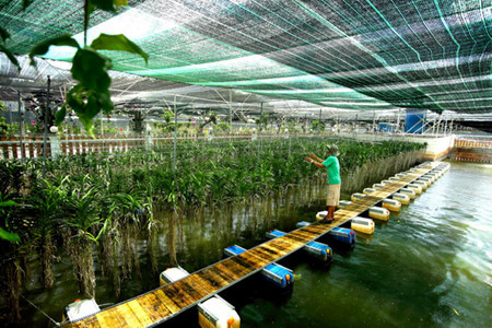 Des zones high-tech aussi dans l'agriculture ảnh 2 Des zones high-tech aussi dans l'agriculture ảnh 2