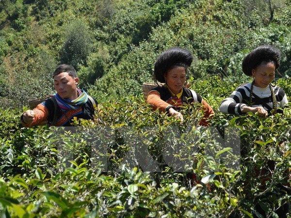 Renforcement de la compétence de gestion du secteur de la microfinance ảnh 1 Renforcement de la compétence de gestion du secteur de la microfinance ảnh 1