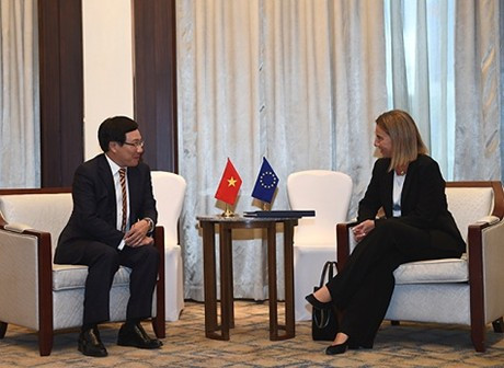 Le vice-PM Pham Binh Minh rencontre une haute représentante de l’UE ảnh 1 Le vice-PM Pham Binh Minh rencontre une haute représentante de l’UE ảnh 1