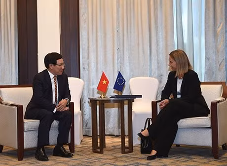 Le vice-PM Pham Binh Minh rencontre une haute représentante de l’UE ảnh 1