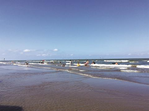 Thai Binh: l’îlot Côn Vành, un petit bout de nature sauvage ảnh 2 Thai Binh: l’îlot Côn Vành, un petit bout de nature sauvage ảnh 2