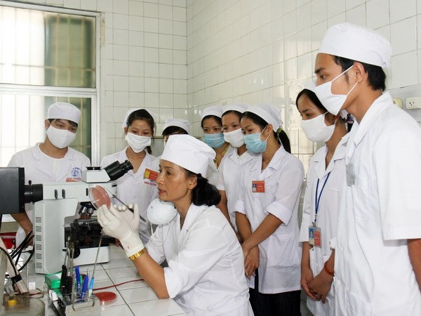 Vietnam et Australie échangent des expériences dans la santé ảnh 1