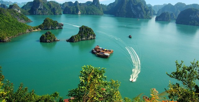 Intensification de la protection de l’environnement en baie d’Ha Long et dans l’archipel de Cat Ba ảnh 2 Intensification de la protection de l’environnement en baie d’Ha Long et dans l’archipel de Cat Ba ảnh 2