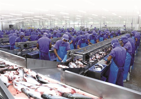 2017, un “grand cru” pour les exportations vietnamiennes ảnh 1