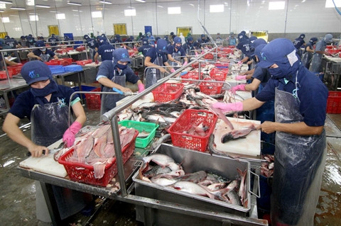 Les produits agricoles visent six marchés de pointe ảnh 1 Les produits agricoles visent six marchés de pointe ảnh 1