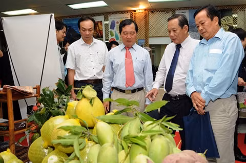 Quand la promotion du tourisme se remet en question ảnh 2