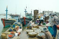 Création de la zone économique du Sud-Est de Quang Tri ảnh 1