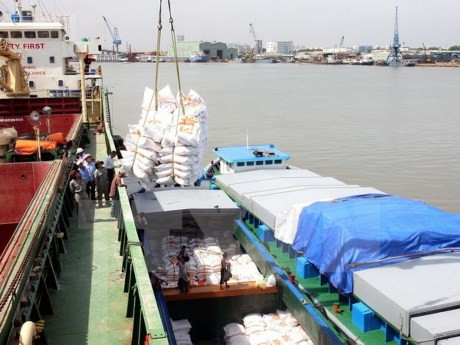 Le Vietnam exportera 450.000 tonnes de riz aux Philippines ảnh 1 Le Vietnam exportera 450.000 tonnes de riz aux Philippines ảnh 1