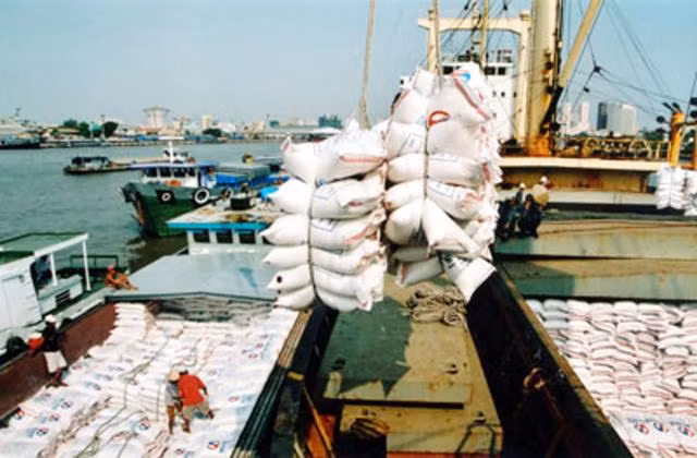 Recul des exportations nationales de riz ảnh 1