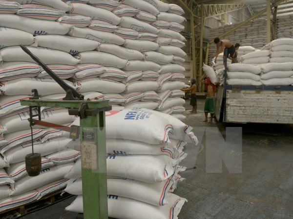 L’ASEAN+3 coopère dans l'agriculture et la sylviculture ảnh 1