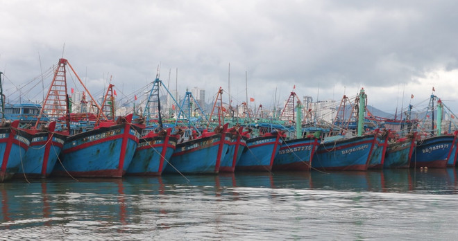 La province de Binh Thuân poursuit la lutte contre la pêche INN ảnh 1 La province de Binh Thuân poursuit la lutte contre la pêche INN ảnh 1
