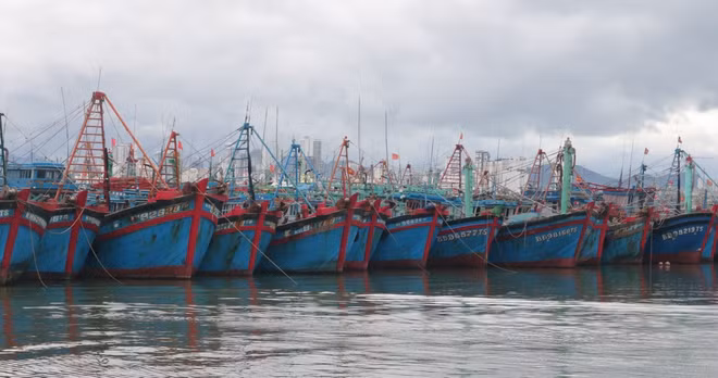 La province de Binh Thuân poursuit la lutte contre la pêche INN ảnh 1