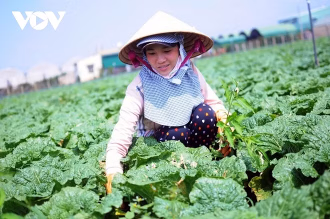 Coopérer pour durer… ảnh 1