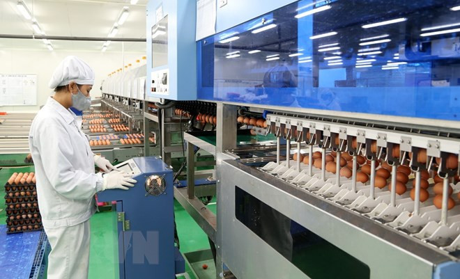 Onze mois : fonds d’IDE en baisse, rythme de décaissement en hausse ảnh 1 Onze mois : fonds d’IDE en baisse, rythme de décaissement en hausse ảnh 1