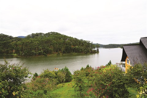 Noël et Nouvel An à Dà Lat, la "ville de l’amour" ảnh 1 Noël et Nouvel An à Dà Lat, la "ville de l’amour" ảnh 1