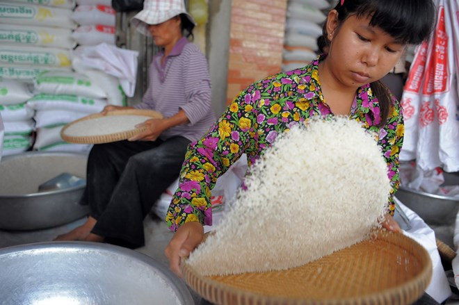 L’économie cambodgienne maintient une croissance de 7% à moyen terme ảnh 1 L’économie cambodgienne maintient une croissance de 7% à moyen terme ảnh 1