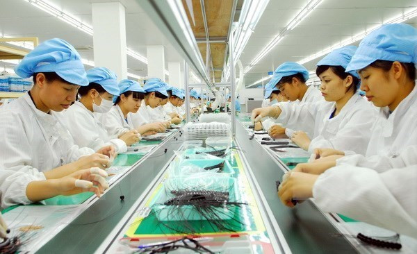 Vietnam, un point lumineux du tableau économique d’Asie pour 2019 ảnh 1 Vietnam, un point lumineux du tableau économique d’Asie pour 2019 ảnh 1