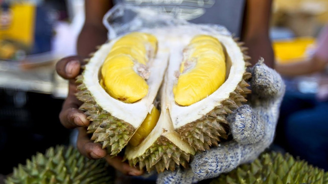 Le durian, produit à l’export potentiel de la Malaisie ảnh 1 Le durian, produit à l’export potentiel de la Malaisie ảnh 1