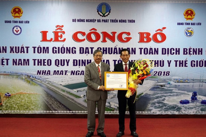 Crevetticulture : premier établissement vietnamien à satisfaire aux normes de l’OIE ảnh 1 Crevetticulture : premier établissement vietnamien à satisfaire aux normes de l’OIE ảnh 1