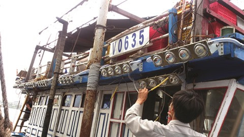 Au Centre, les LED montent à bord des bateaux de pêche ảnh 1 Au Centre, les LED montent à bord des bateaux de pêche ảnh 1