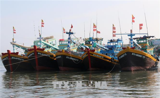 Binh Thuân s’en tient aux recommandations de la CE sur la pêche INN ảnh 1 Binh Thuân s’en tient aux recommandations de la CE sur la pêche INN ảnh 1