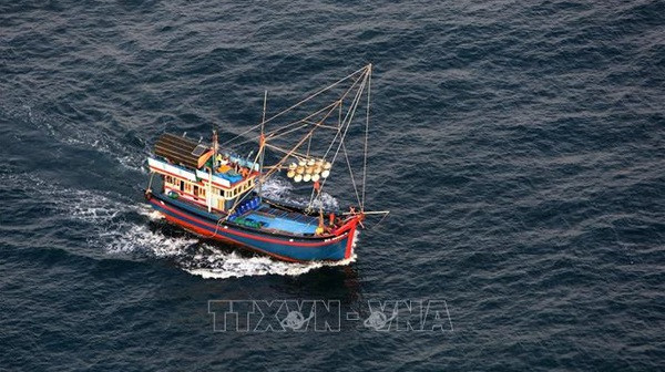 Le Vietnam déploie des efforts continus contre la pêche INN ảnh 1 Le Vietnam déploie des efforts continus contre la pêche INN ảnh 1