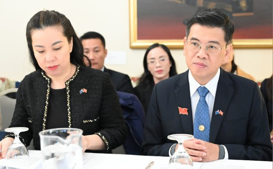 Ho Chi Minh-Ville promeut les liens avec l’Australie et la Nouvelle-Zélande ảnh 1