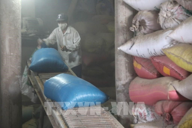 Tien Giang : les exportations au cours des neuf premiers mois en hausse ảnh 1