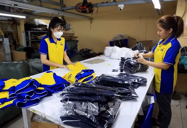 Perception du budget de l'État provenant de l’import-export en baisse de près de 19% en neuf mois ảnh 1 Perception du budget de l'État provenant de l’import-export en baisse de près de 19% en neuf mois ảnh 1