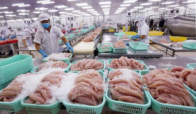 Le Vietnam exporte plus de 6,6 milliards de dollars de produits aquatiques en neuf mois ảnh 2 Le Vietnam exporte plus de 6,6 milliards de dollars de produits aquatiques en neuf mois ảnh 2