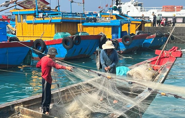 La province de Tien Giang redouble des efforts contre la pêche INN ảnh 1