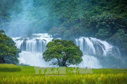 Ouverture du festival des cascades de Ban Giôc 2023 ảnh 1 Ouverture du festival des cascades de Ban Giôc 2023 ảnh 1