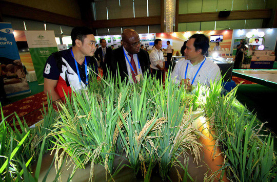 APEC 2017: Vernissage d’une exposition sur l’agriculture à Can Tho ảnh 1 APEC 2017: Vernissage d’une exposition sur l’agriculture à Can Tho ảnh 1