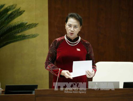 AN : le ministre de l’Agriculture et du Développement rural répond aux interpellations ảnh 1