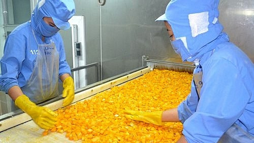 Vietnam - G7 : les échanges commerciaux connaissent une croissance spectaculaire ảnh 1 Vietnam - G7 : les échanges commerciaux connaissent une croissance spectaculaire ảnh 1