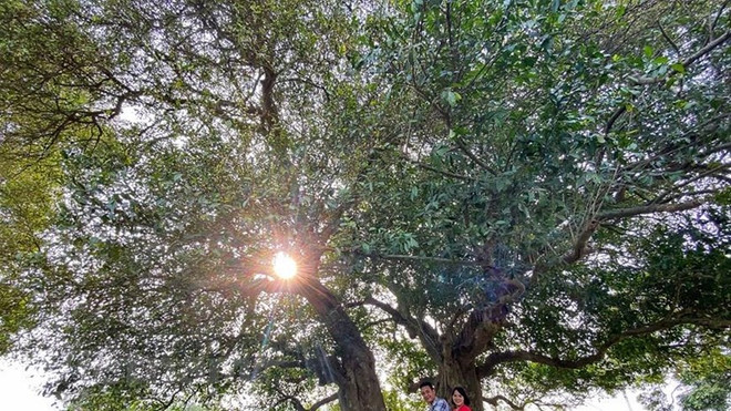 Hanoï va ouvrir une rue piétonne à Son Tây ảnh 1 Hanoï va ouvrir une rue piétonne à Son Tây ảnh 1