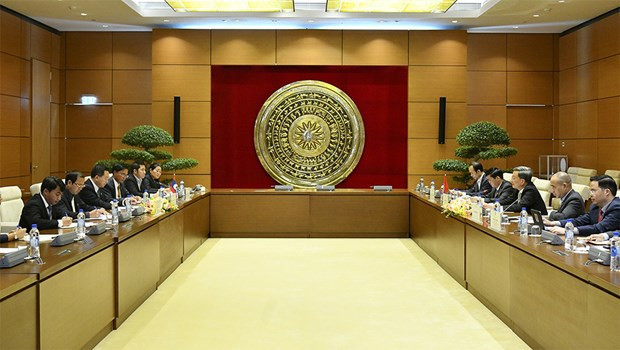 Vietnam-Laos : Renforcement de la coopération entre des Commissions des Assemblées nationales ảnh 1