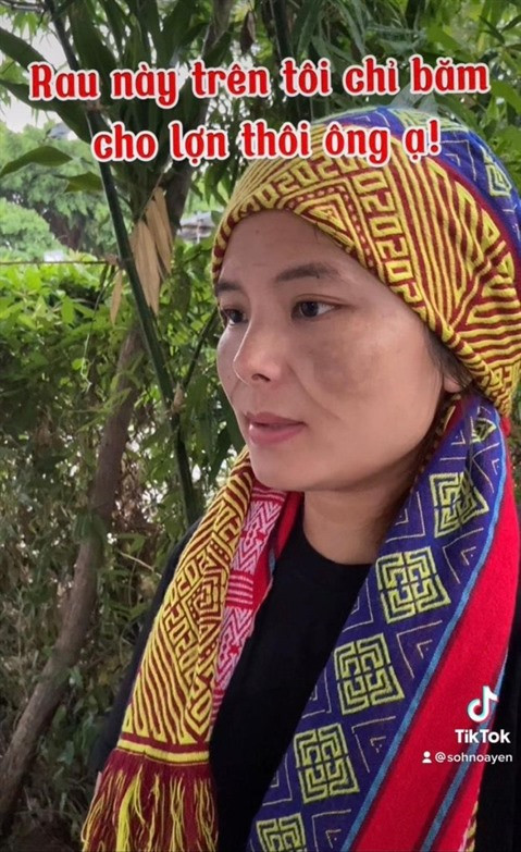 Des jeunes font la promotion de la culture et du tourisme de Lào Cai ảnh 1 Des jeunes font la promotion de la culture et du tourisme de Lào Cai ảnh 1