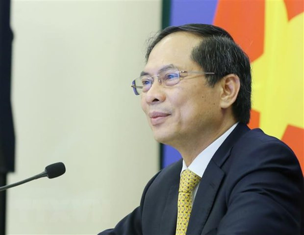 Le ministre des Affaires étrangères Bui Thanh Son rencontre son homologue britannique ảnh 1