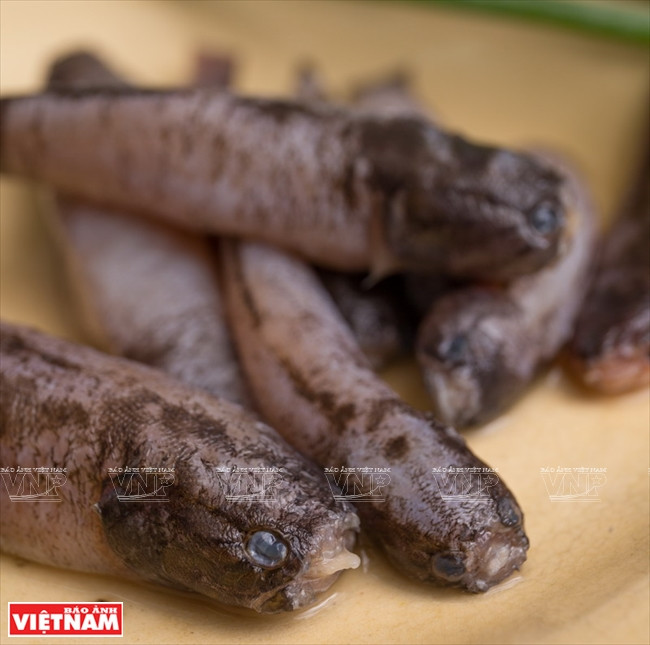 Eléotris braisés au curcuma ảnh 1 Eléotris braisés au curcuma ảnh 1