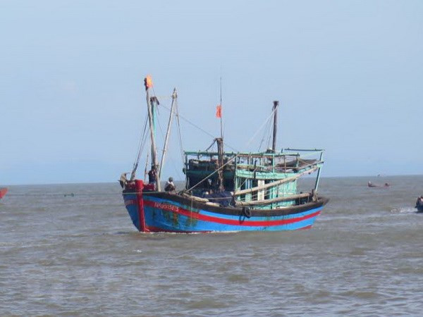 Des bateaux de pêche de Quang Binh sont dotés d'équipements HF ảnh 1 Des bateaux de pêche de Quang Binh sont dotés d'équipements HF ảnh 1