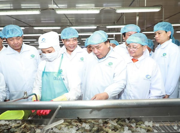 Le Premier ministre Nguyên Xuân Phuc visite la société Minh Phu de Ca Mau ảnh 1 Le Premier ministre Nguyên Xuân Phuc visite la société Minh Phu de Ca Mau ảnh 1