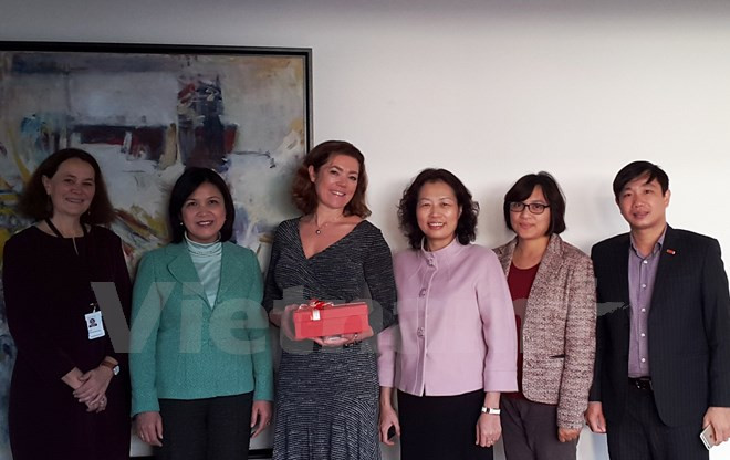 Vietnam-Norvège coopèrent dans la formation professionnelle ảnh 1 Vietnam-Norvège coopèrent dans la formation professionnelle ảnh 1