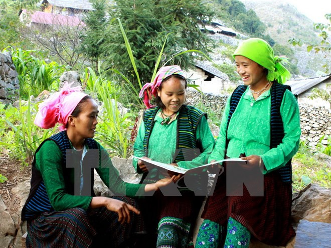 Les minorités ethniques représentent 14,6 % de la population du Vietnam ảnh 1