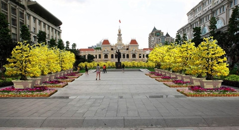  La rue florale Nguyên Huê au Têt du Singe ảnh 2