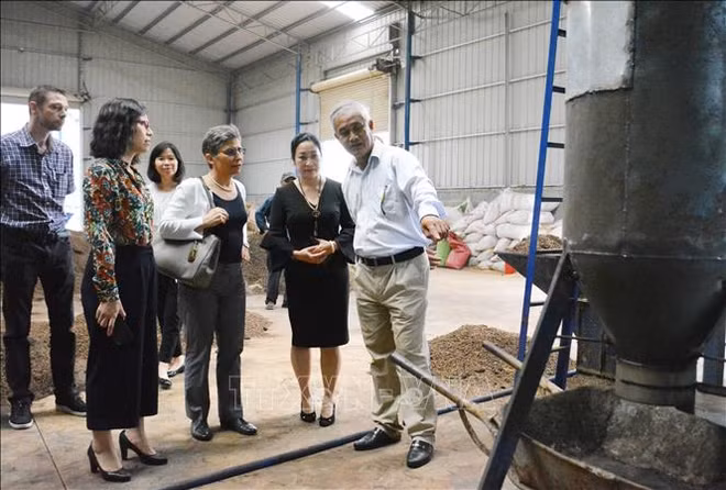 La technologie de thermolyse bénéficie à la filière café ảnh 1