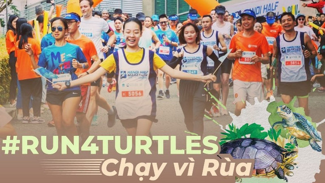 Une course à pied prévue en décembre pour protéger les tortues en voie de disparition ảnh 1