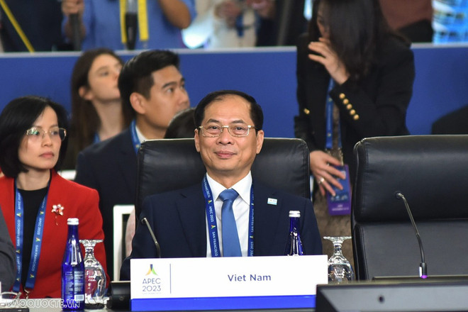 APEC : le Vietnam propose 3 priorités de coopération lors de l'AMM 34 ảnh 2 APEC : le Vietnam propose 3 priorités de coopération lors de l'AMM 34 ảnh 2